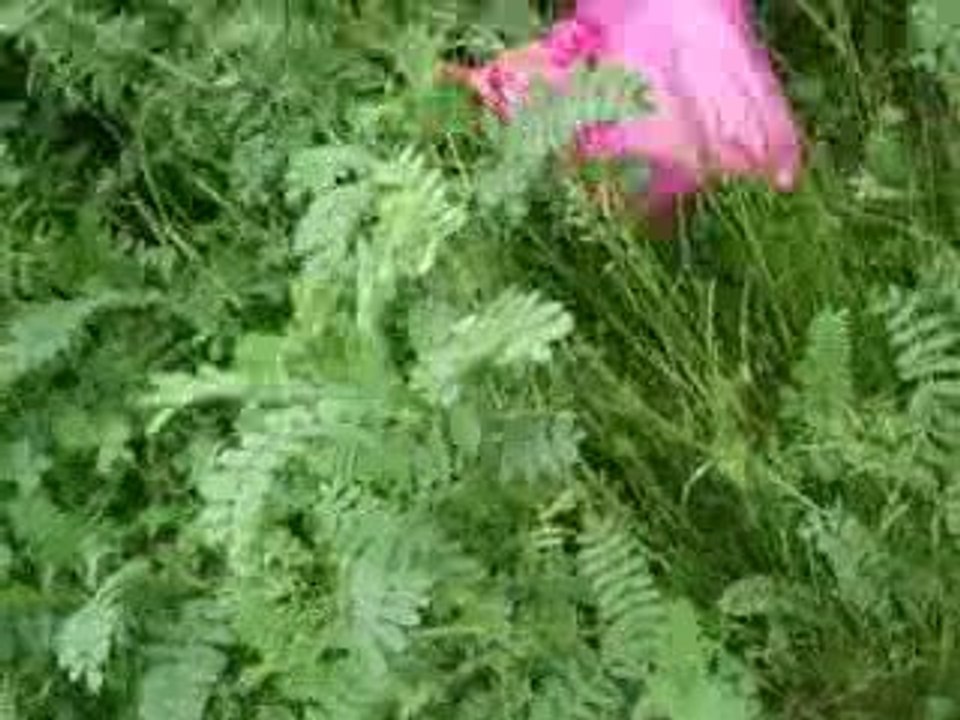 On se tape la honte XD