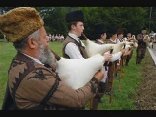 Foxa-Luda rabota-Video2