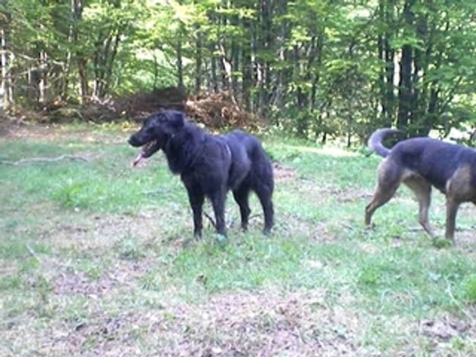 1 er camping des petits (partie 1) Déouverte des lieux...