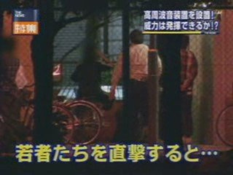 モスキート_20090522