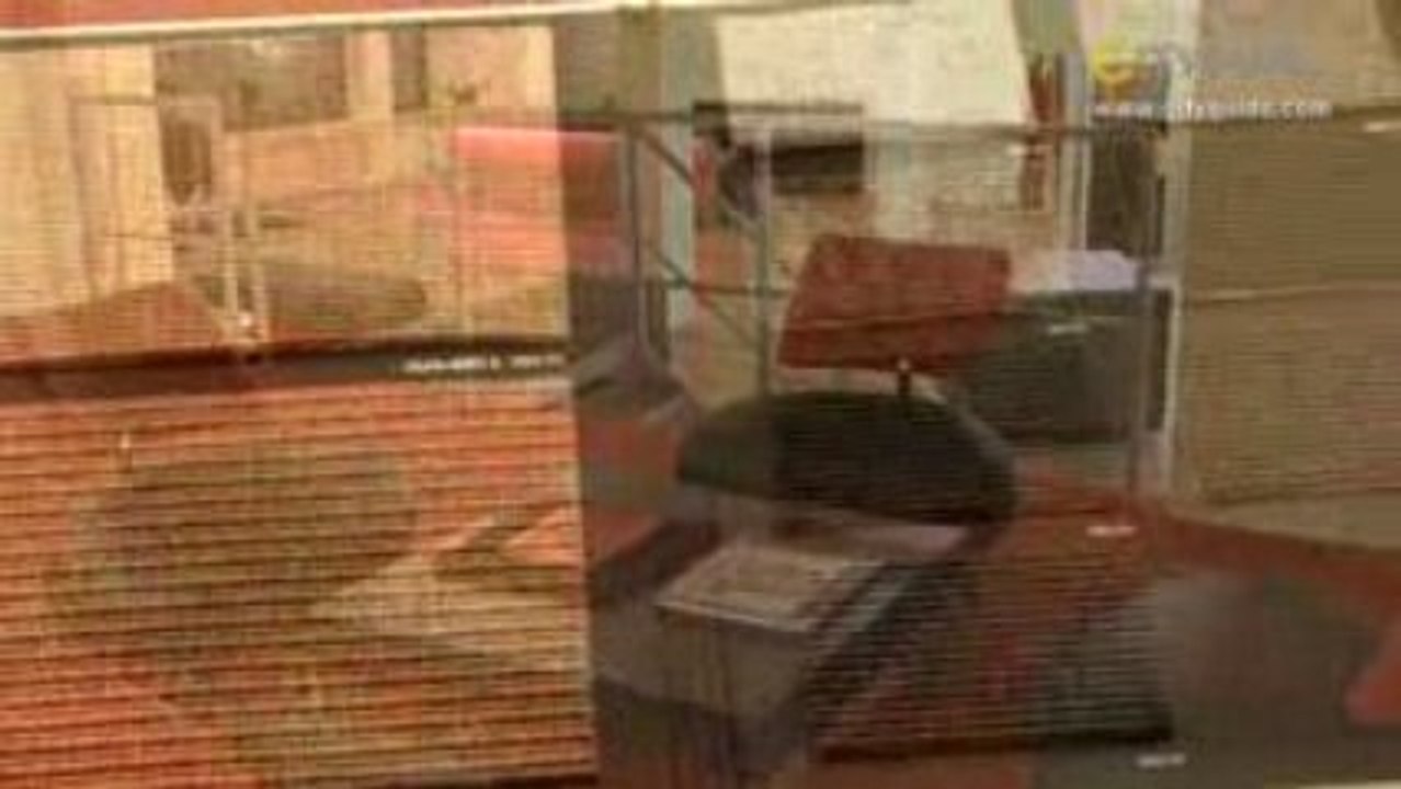 ABT Bodenbeläge AG, Basel; Vielfältige Bodenbeläge: ...