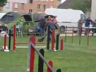 Les OUI OUI shipie & caroline