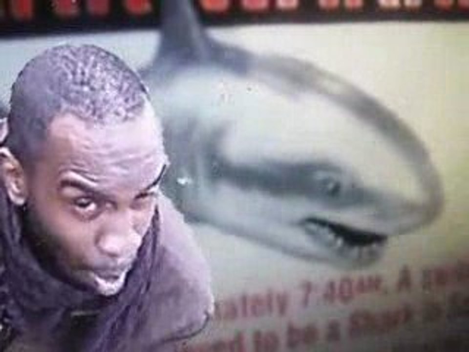 Requin (Neg Lyrical,Kool Saze,Ti Flash)