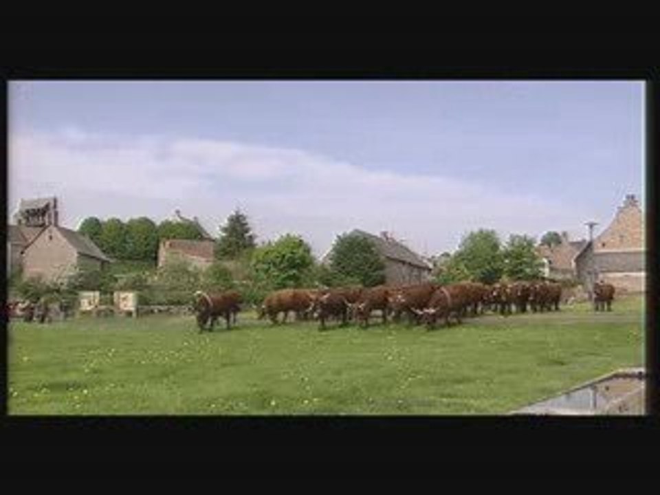 Alain AMEILHAUD "sa transhumance"