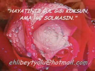 Duygulu ilahiler - ehlibeytyolu-www.sonhaberimiz.com