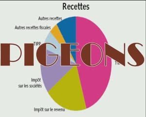 Video Bande de Pigeons - impôts, taxes, cotisations, sociale