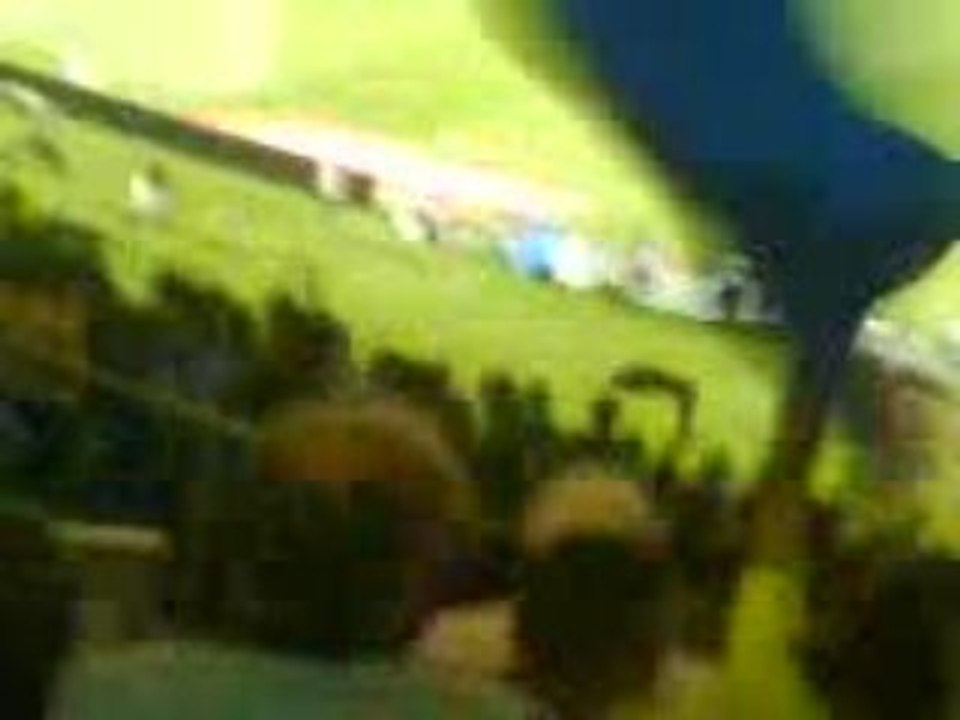 100e but de Juninho (lyon - caen)