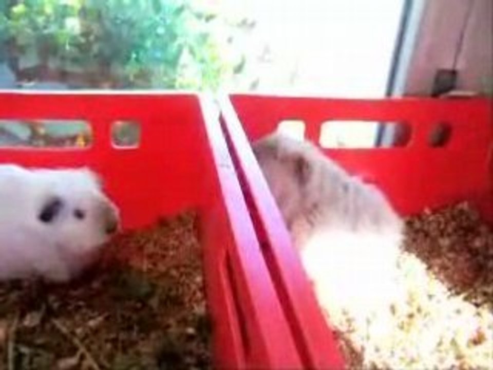 Nuage et Angel