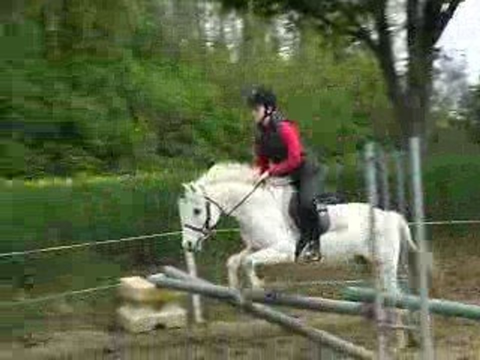 Brandy & moi en saut