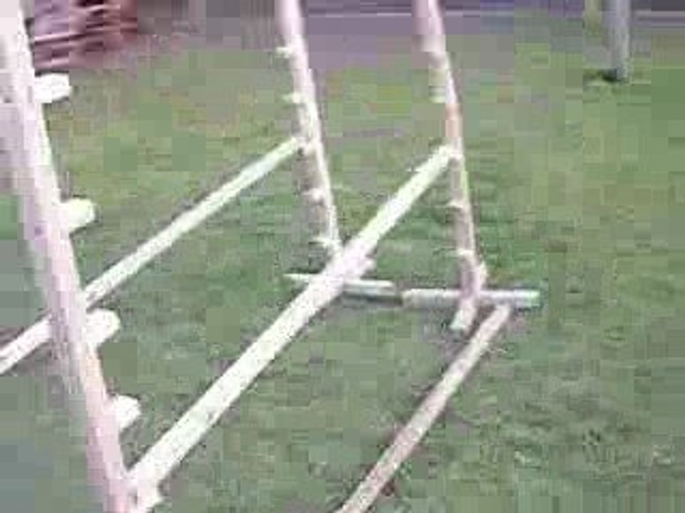 mon chien ugo qui saute