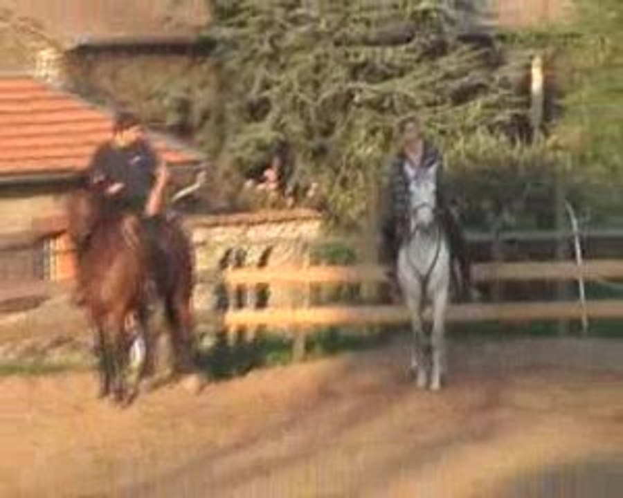 voltige en ligne entrainement