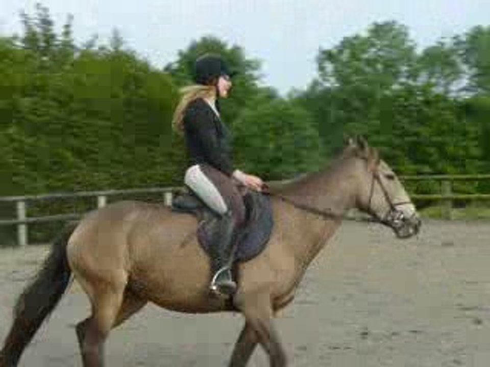 Raina de gesvres