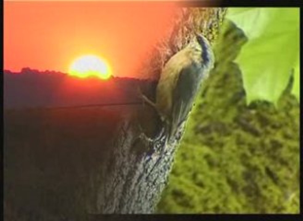 Au pays de la Bièvre