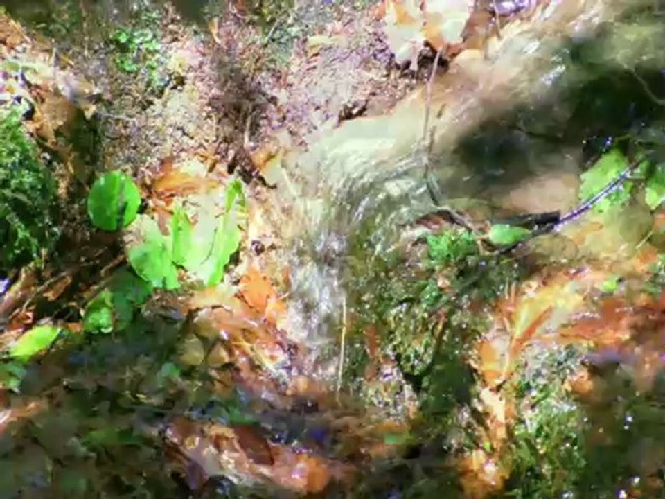 Sentier poétique