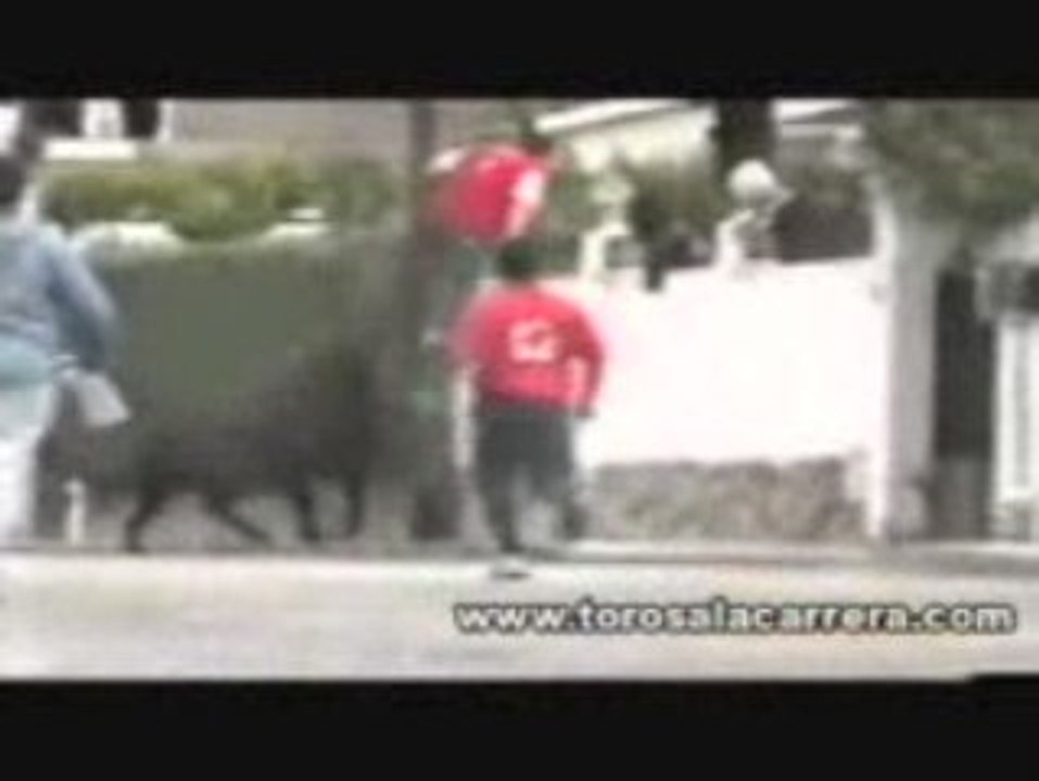 Encierros en Villamanta 2004