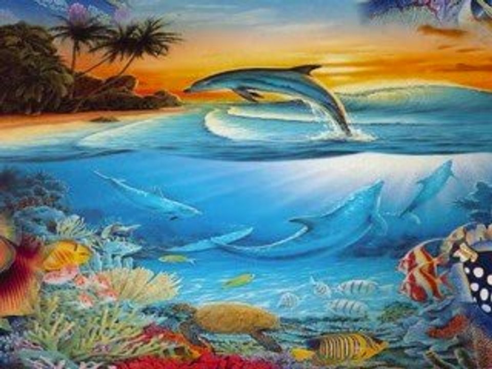 Les dauphins