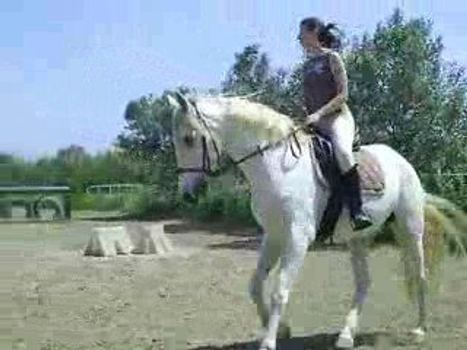 estrella