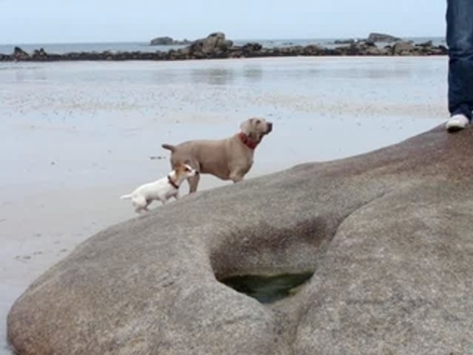 Donuts à la plage !!!