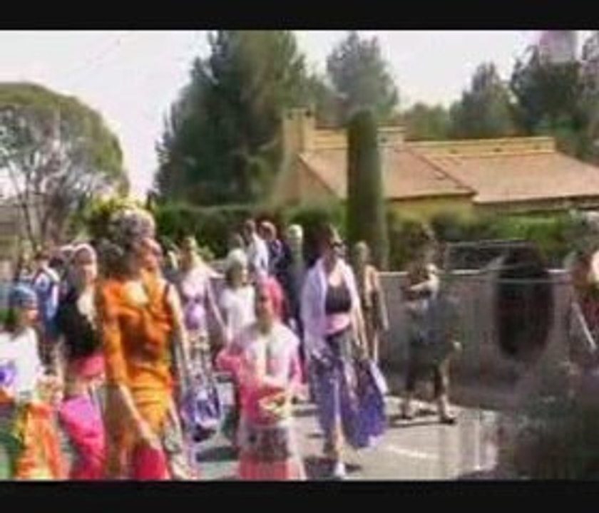 Carnaval 2009 (1) st mathieu herault - 34