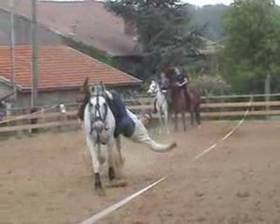 voltige en ligne entrainement (2)