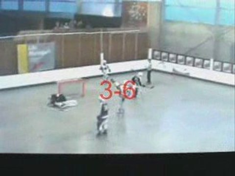 Finale N1 roller hockey 2009 Rouen-Lille