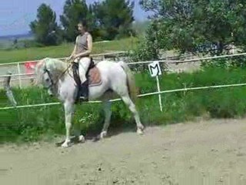 estrella