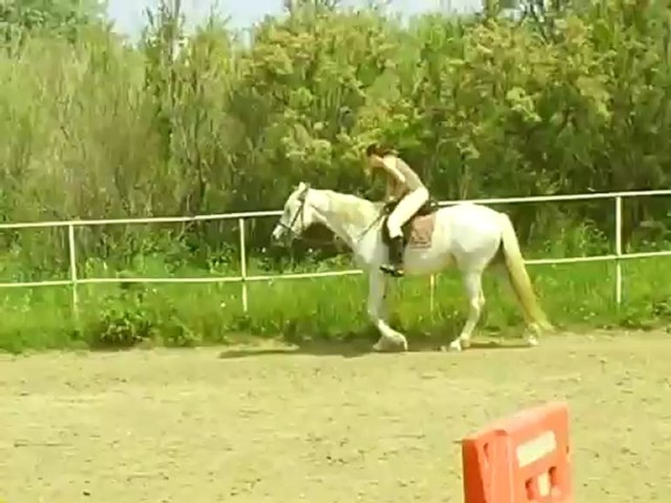 estrella