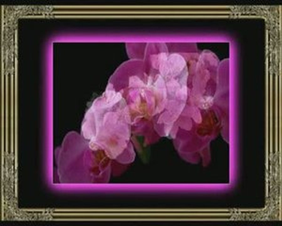 :¸.•*ღ♥••*- Relaxation -:¸.•*ღ♥••*