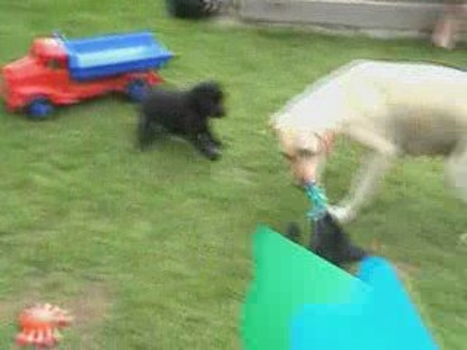 Kaly - Portée A - 23.05.2009_1