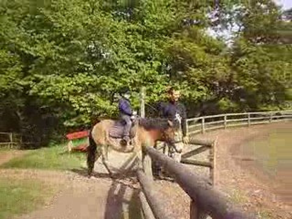 Slottskogen 19.4