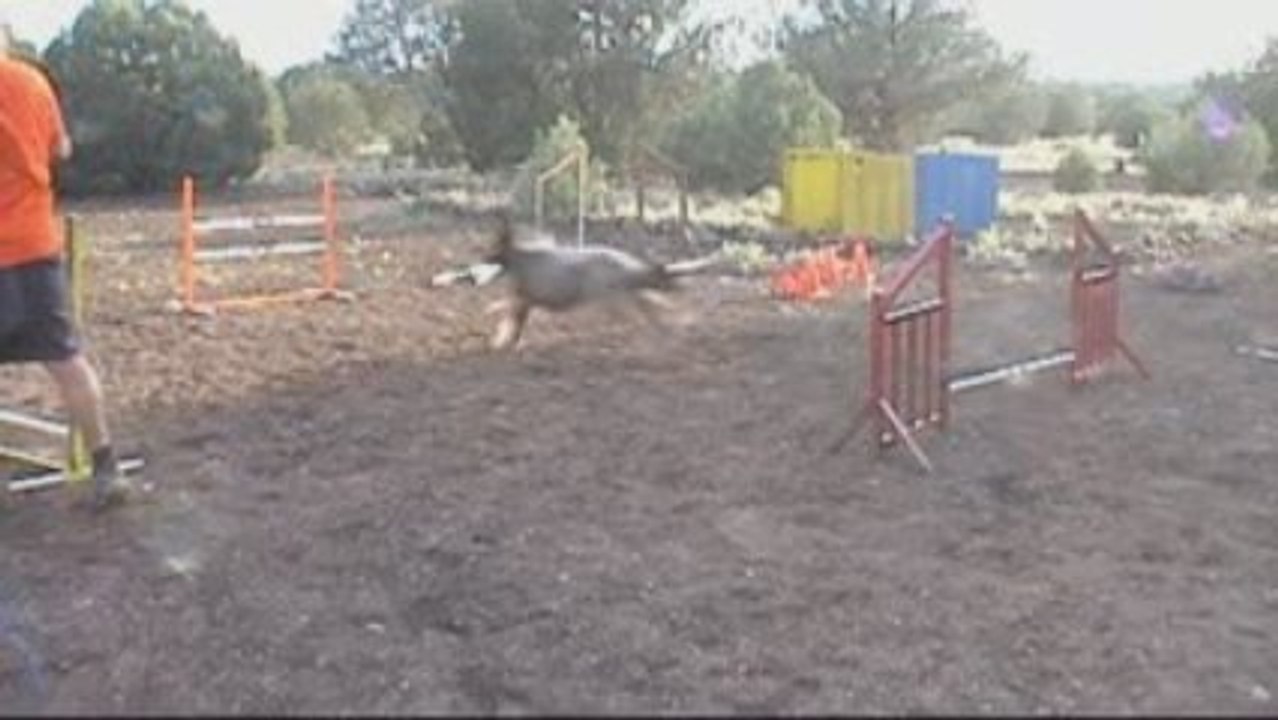 Another jump exercise