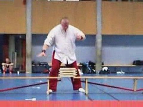 portes ouvertes de l'academie Européenne Michel GASS