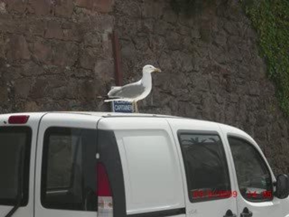 Wandern in den Bergen von Theoule