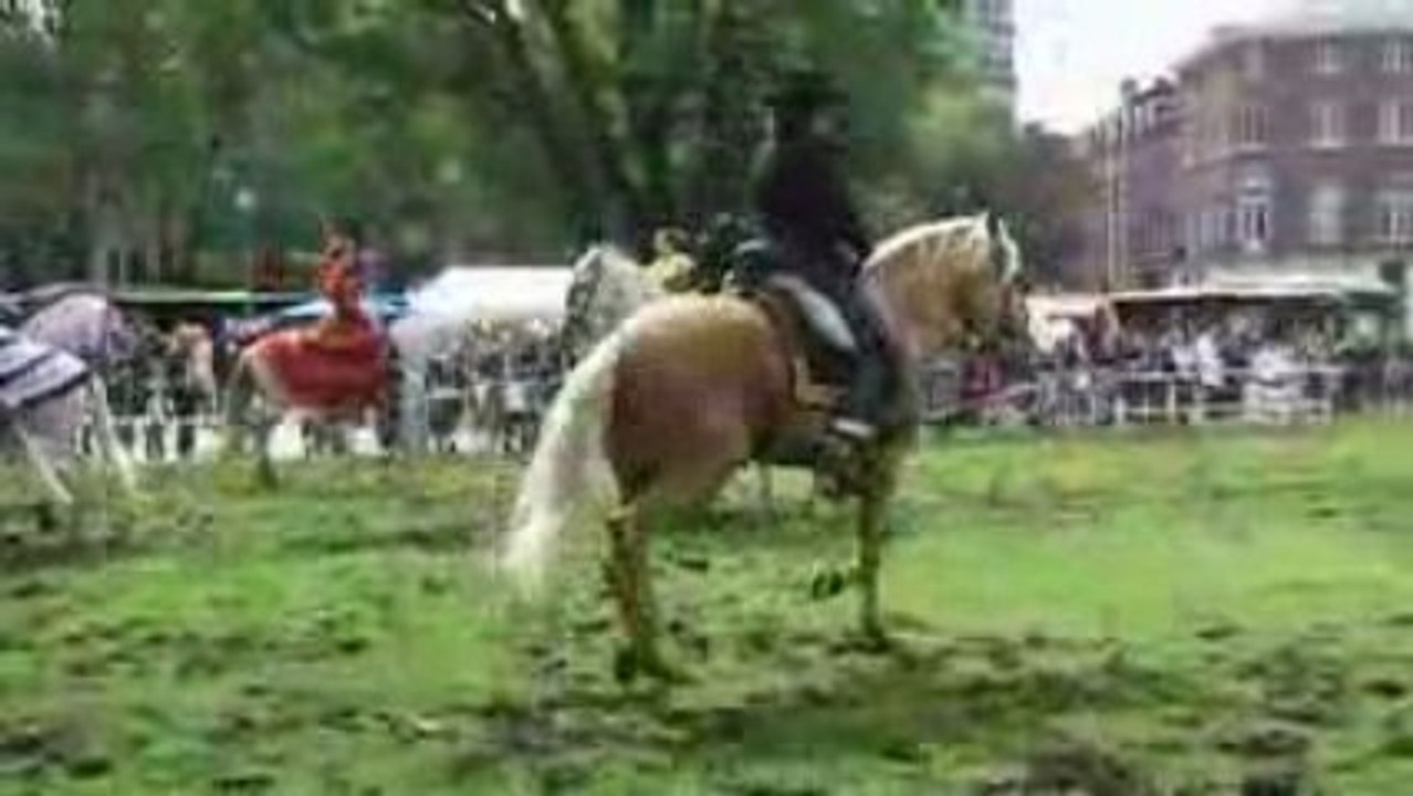 17-05-09 Danseurs espagnols au parc d'Avroy à Liège