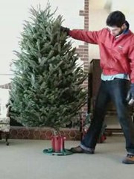 Pied de sapin pour arbre de Noël instantané ! Sapin Instant