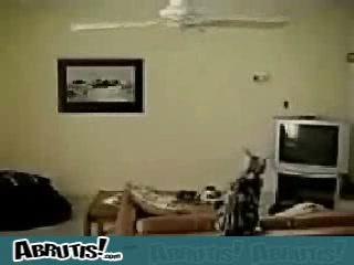 Tournante de chatte mouillée