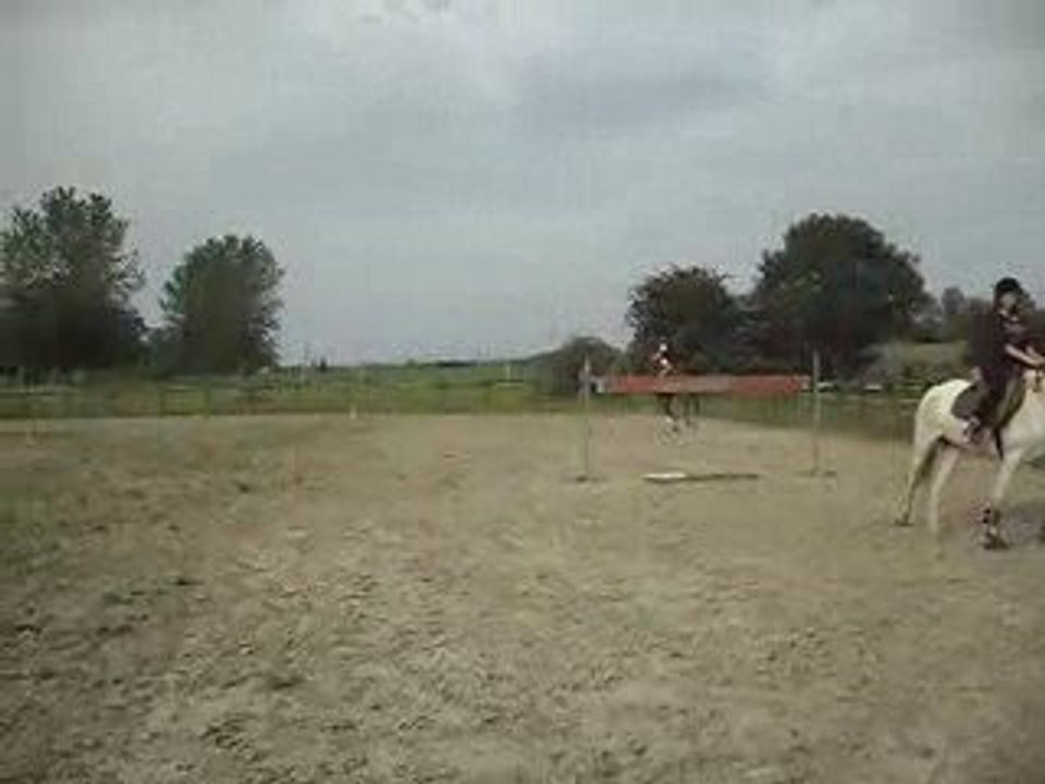 SDC10167