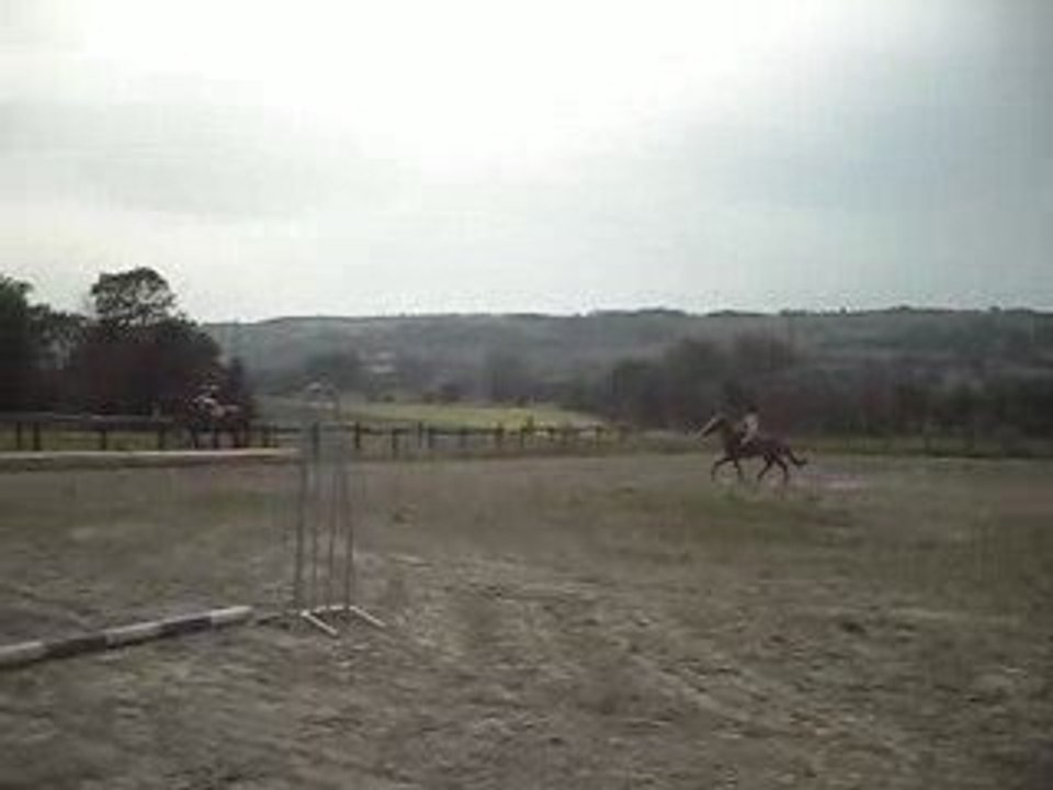 SDC10164
