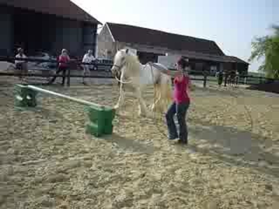 Flann version bulldozer!!!!
