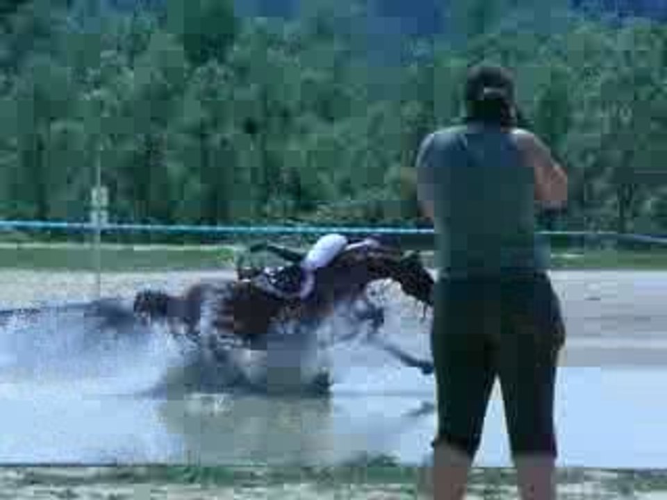 Plouf! New me fait piquer une tête dans l'eau