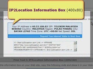 Step to add the visitor IP address information box in the we