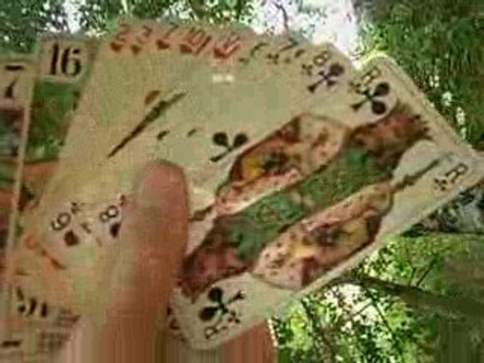 TAROTONS DANS LES BOIS