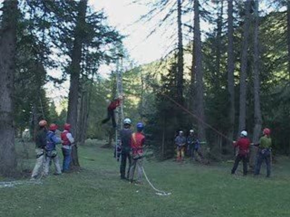 Pamper pole