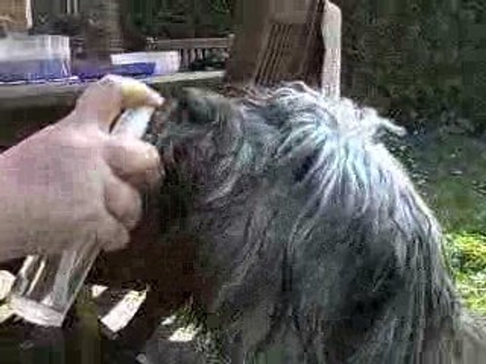 CLIP0003