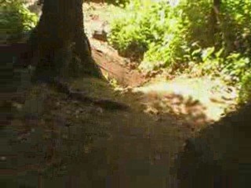 DH LE HAVRE "la Vache Lanche Cup O9"