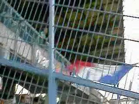 AUXERRE ASSE 2008 2009 PARCAGE STEPHANOIS