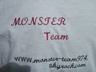 Sortie Monster Team 03.05.09