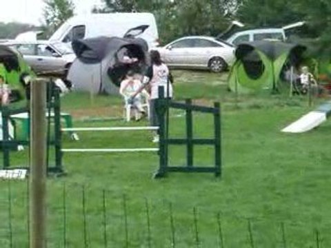 Angel Gpf cabochards