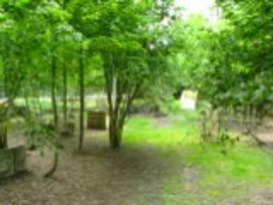 Attaque_du_fort_partie_3