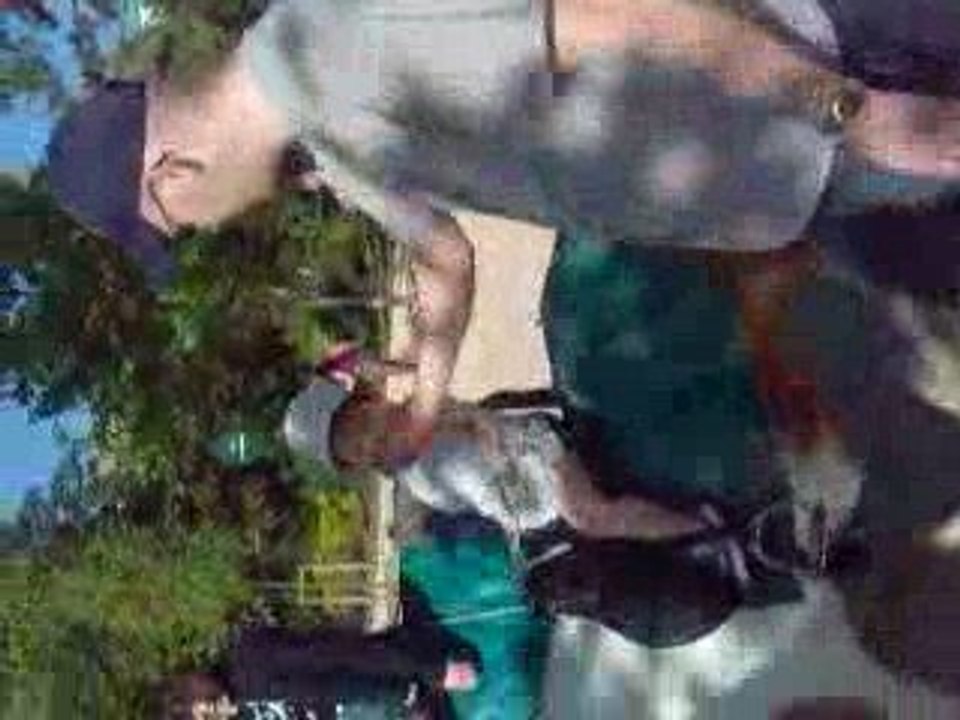 les kangoos à dos d'ane